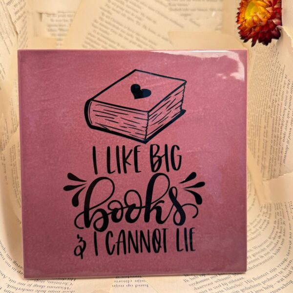 tegeltje i like big books and i cannot lie