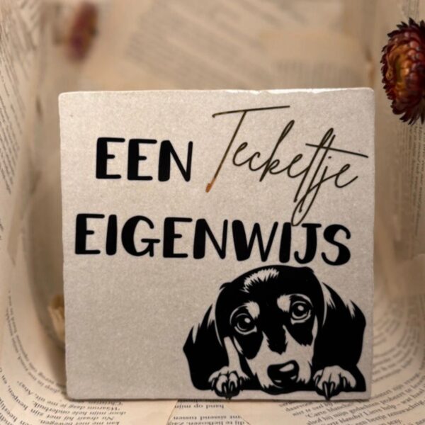 Een teckeltje eigenwijs