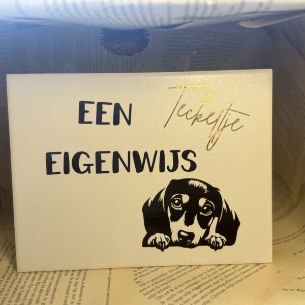 Een teckeltje eigenwijs liggend
