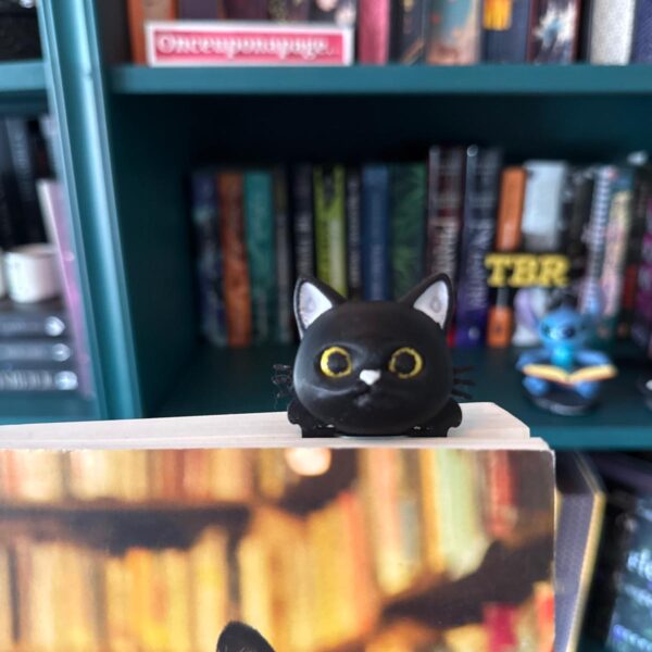 Boekenlegger kat